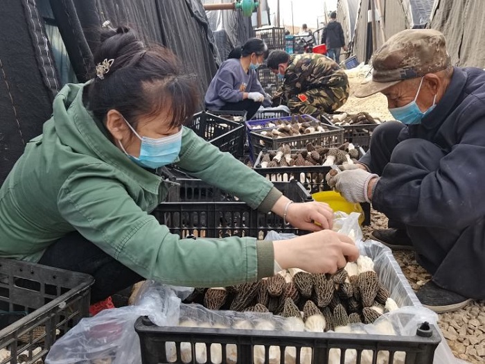 2121非凡·(中国集团)体育官方网站