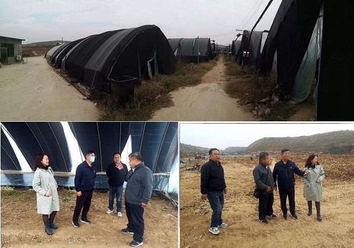 2121非凡·(中国集团)体育官方网站