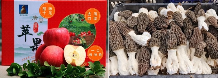 2121非凡·(中国集团)体育官方网站